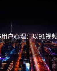 2025用户心理：以91视频为例