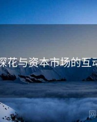 国产探花与资本市场的互动机制