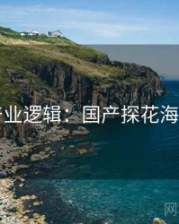 产业逻辑：国产探花海角