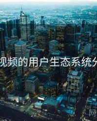 91视频的用户生态系统分析