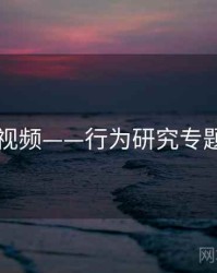 新91视频——行为研究专题研究