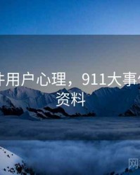 91大事件用户心理，911大事件的相关资料
