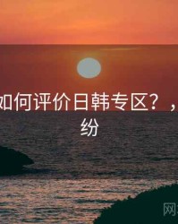 学术界如何评价日韩专区？，日韩纠纷