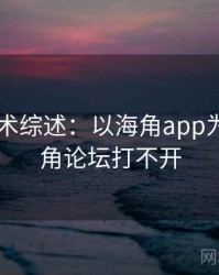 2025学术综述：以海角app为例，海角论坛打不开