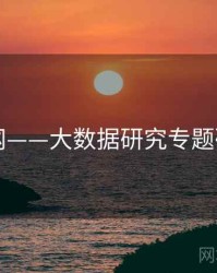 91网——大数据研究专题研究