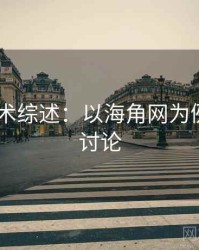 2025学术综述：以海角网为例，海角讨论