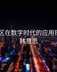 日韩专区在数字时代的应用探索，日韩意思