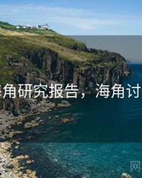 海角研究报告，海角讨论