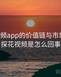 探花视频app的价值链与市场逻辑，探花视频是怎么回事