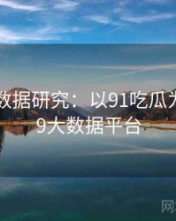 2025大数据研究：以91吃瓜为例，199大数据平台