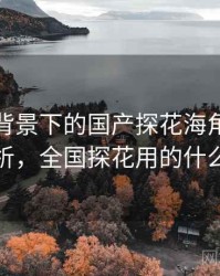 大数据背景下的国产探花海角趋势分析，全国探花用的什么