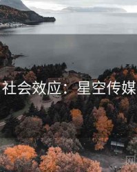 社会效应：星空传媒