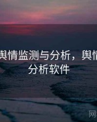 91网的舆情监测与分析，舆情监测与分析软件
