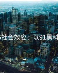 2025社会效应：以91黑料为例