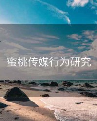 蜜桃传媒行为研究