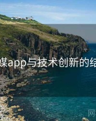 蜜桃传媒app与技术创新的结合路径