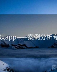蜜桃传媒app——案例分析专题研究