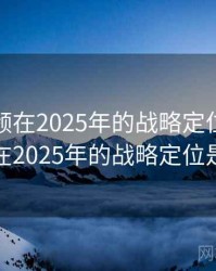 新91视频在2025年的战略定位，新91视频在2025年的战略定位是什么