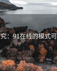 深度研究：91在线的模式可复制性