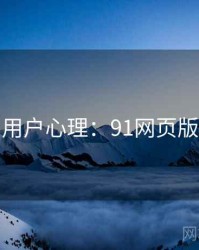 用户心理：91网页版