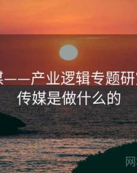 星空传媒——产业逻辑专题研究，星空传媒是做什么的