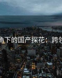 学术视角下的国产探花：跨领域探讨