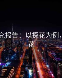 2025研究报告：以探花为例，何谓探花