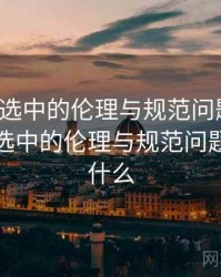 探花精选中的伦理与规范问题研究，探花精选中的伦理与规范问题研究是什么