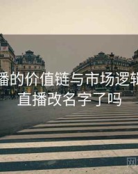 杏吧直播的价值链与市场逻辑，杏吧直播改名字了吗