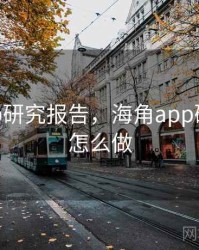 海角app研究报告，海角app研究报告怎么做