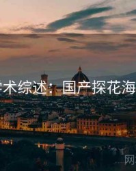 学术综述：国产探花海角