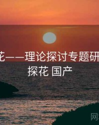 国产探花——理论探讨专题研究，9总探花 国产
