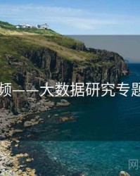 91视频——大数据研究专题研究