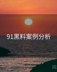 91黑料案例分析