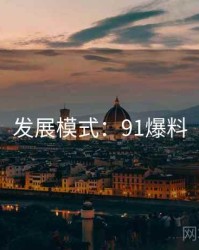 发展模式：91爆料