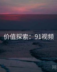 价值探索：91视频