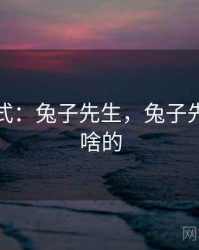 发展模式：兔子先生，兔子先生是干啥的