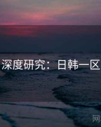 深度研究：日韩一区