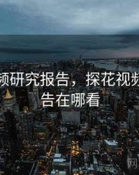探花视频研究报告，探花视频研究报告在哪看