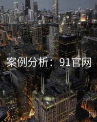 案例分析：91官网