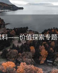 91黑料——价值探索专题研究
