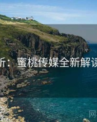 深度分析：蜜桃传媒全新解读案例52