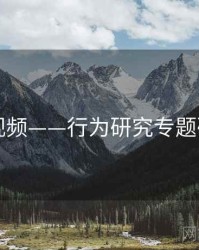 91视频——行为研究专题研究