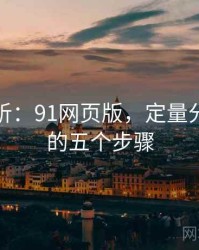 定量分析：91网页版，定量分析程序的五个步骤