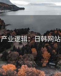 产业逻辑：日韩网站
