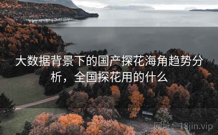 大数据背景下的国产探花海角趋势分析，全国探花用的什么
