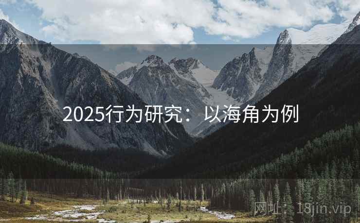 2025行为研究:以海角为例 2025行为研究:以海角为例