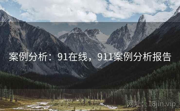 案例分析：91在线，911案例分析报告