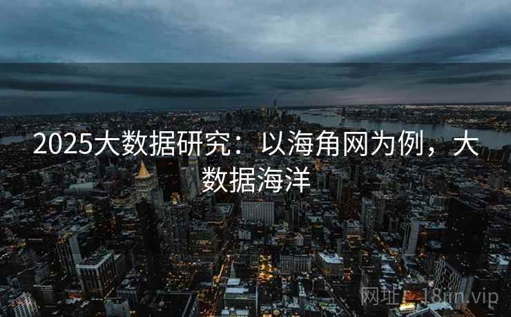 2025大数据研究:以海角网为例,大数据海洋 2025大数据研究:以海角网为例,大数据海洋