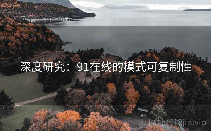 深度研究:91在线的模式可复制性 深度研究:91在线的模式可复制性